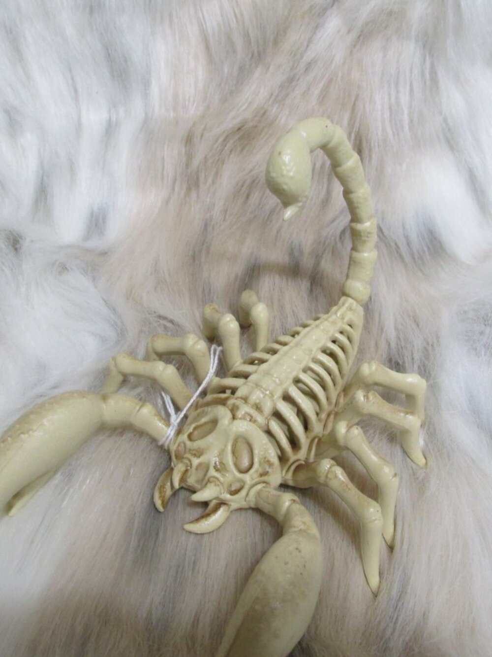 H88-NEW Skeleton Scorpion Halloween